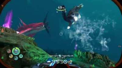 There always a bigger fish.