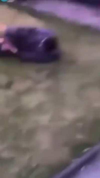 You can hear an audible crack.