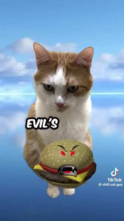 Bevilbbvfddcvgvbgfpiop