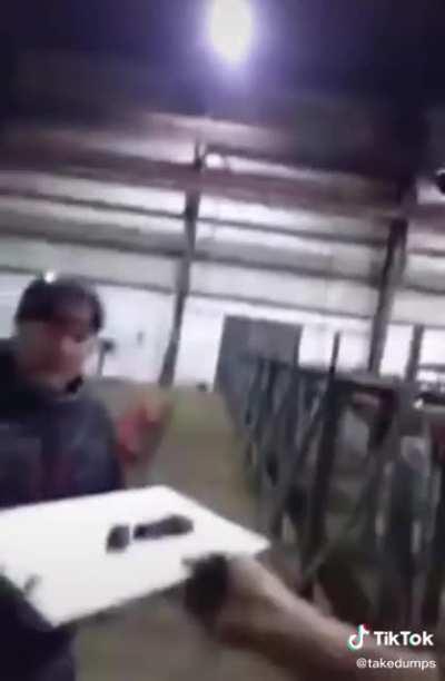 Couldn’t think of anywhere else to put this. But i had to post it!