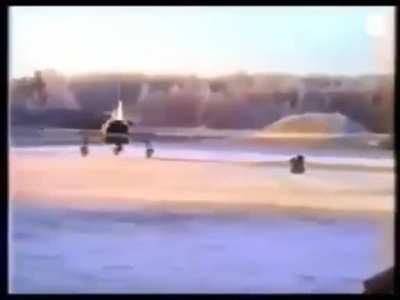 When Perault is away, Wardog will play