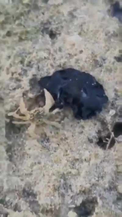 Venom Symbiote is upon us