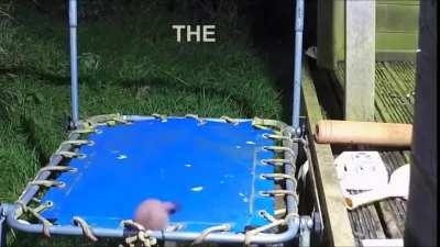 Who are you when nobody's watching?