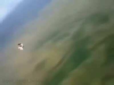 sonic is such a malad