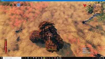 I see your 'how to hunt a Lox' post and raise you this