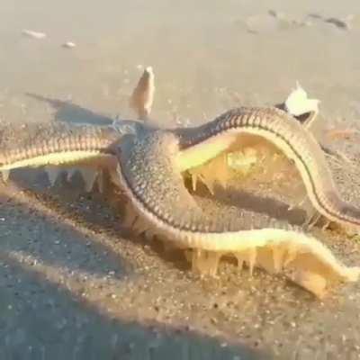 Answer to the people why i hate beach