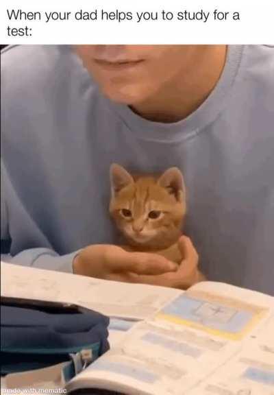 He would stay up all night if necessary