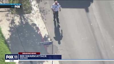 Man gets attacked by a swarm of bees in Encino, California