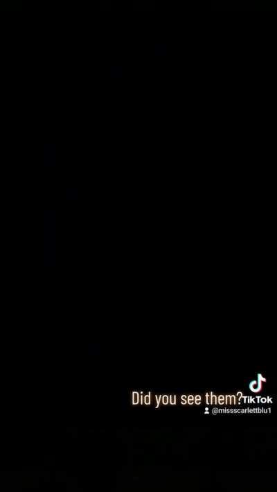 Come say hi Reddit....