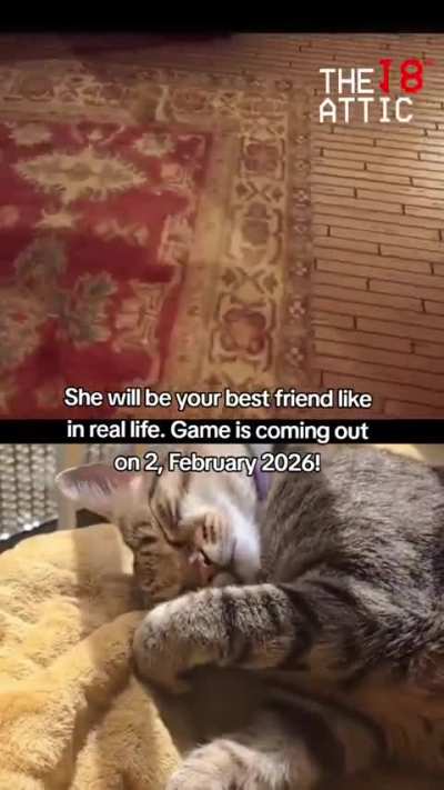 I am a solo dev creating a horror game based on my REAL LIFE CAT - you have to hunt ghosts and you can pet your cat to restore your sanity! I'll allow comments as appreciate any feedback and wishlists! :')