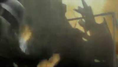 Boa noite meus casas😎👍🏼🇧🇷