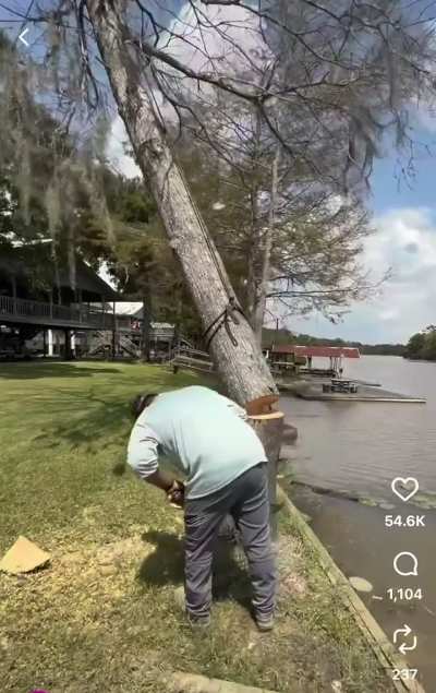 This guy is a wizard, what’s happening with the tree to achieve such a gentle fell?