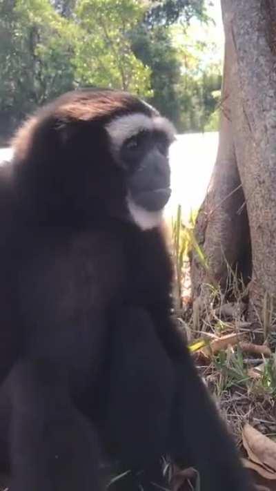 MUQUINHA? QUE ESCÂNDALO É ESSE ?