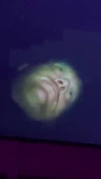 Knossi is wirklich das Highlight des Jahres