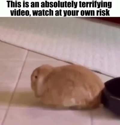 Svcarry 😱😱😱😱💀💀💀🙀