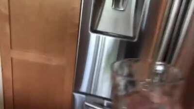 Nothing like a refreshing beverage in the summer