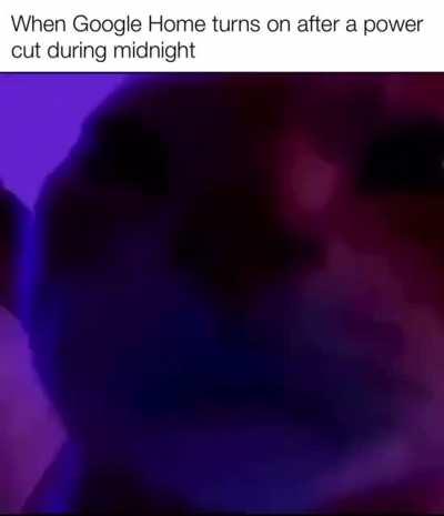 Google Home go brrr