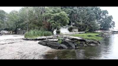 Ratatosk messages between the eagle and the serpent