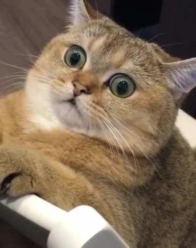 This can't be happening.....