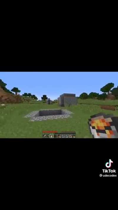 When you buy Minecraft in Ohio