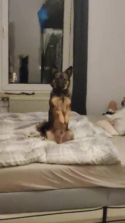 Actually i dont know whats wrong with my Boy Mogli. I came back home from work and he was sitting there like this. (We don't talk about my awfull singing skills haha)