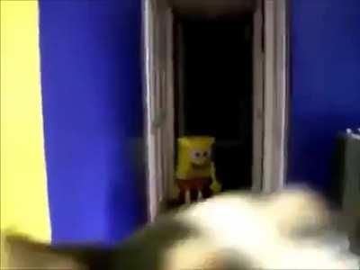 Free Spongebob Episode