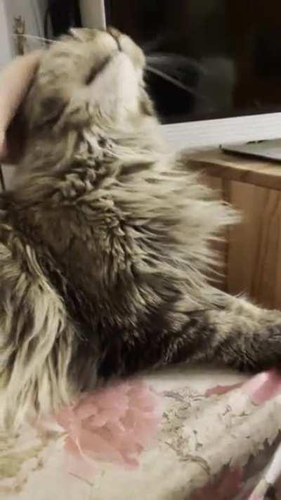 My old lady yells in all her favorite situations. Here: Waking up & noticing she is not alone