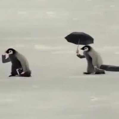 More unsettling than I thought it would be