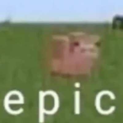 e p i c