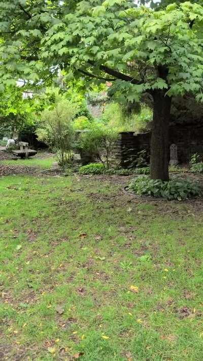 Are my tits big enough or should I get them done?