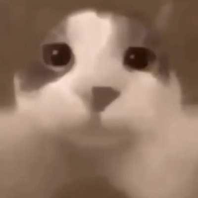 For anyone who needs it