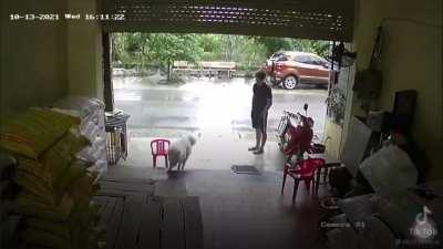 Hope they learned their lessson