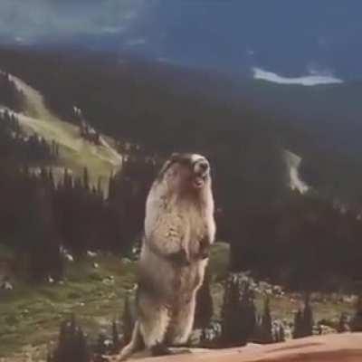 AAAAAAAAAAAAAAAAAAAAAAAAAAAAAAAAAA