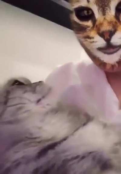 This post is so amazing I can’t even discribe it