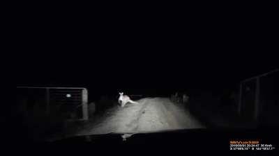 ohthemisery - Video #8706