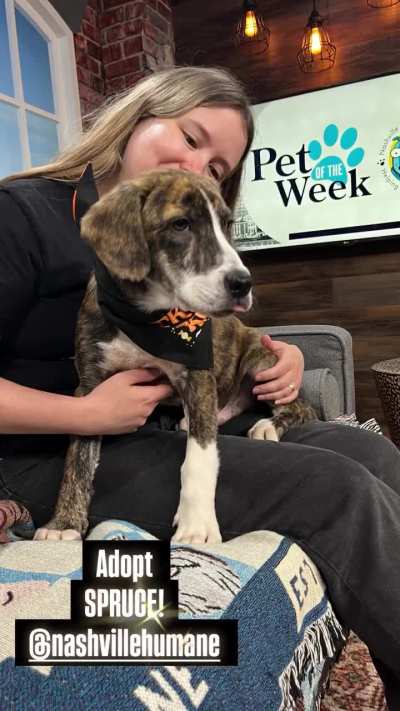 Today In Nashville. WSMV4 TV. October 7th 2025