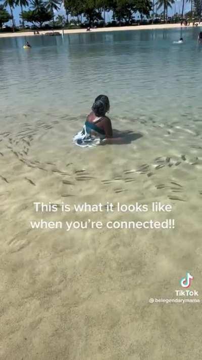 Borrowed but damn that’s interesting