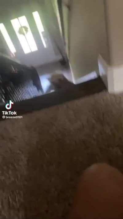 To get up the stairs