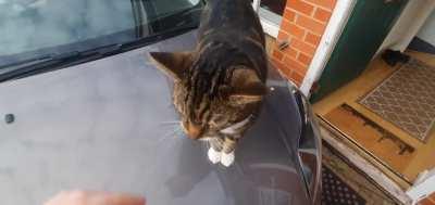 Oliver likes sitting on the car, yelling at me and passers by.