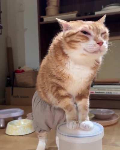 Silly wunker got her pants on 