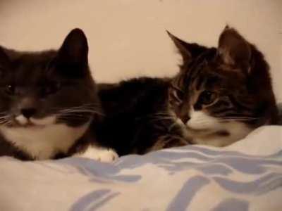 I wonder what these guys are talking about