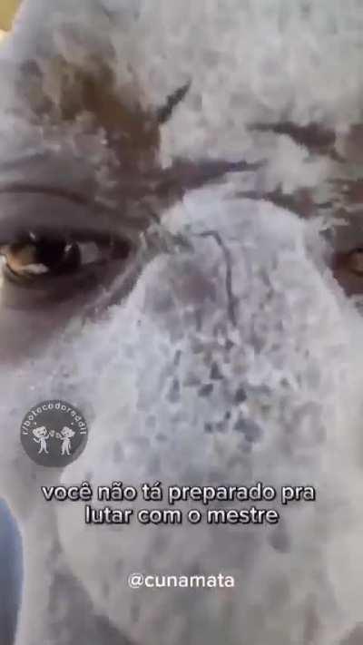 Pq choras Hollywood? 