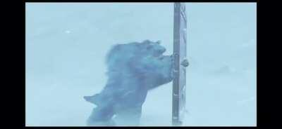 Indian tiktokers when they notice they can no longer access tiktok to post Punjabi fancams