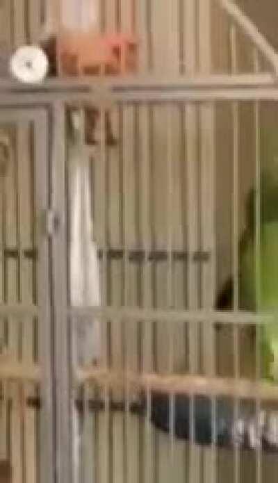 It's like Adele but better