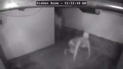 Me venting into my mom’s room at 3 AM as an Among Us reference