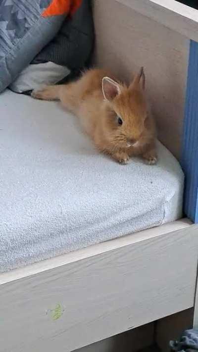 Is he having hiccups?