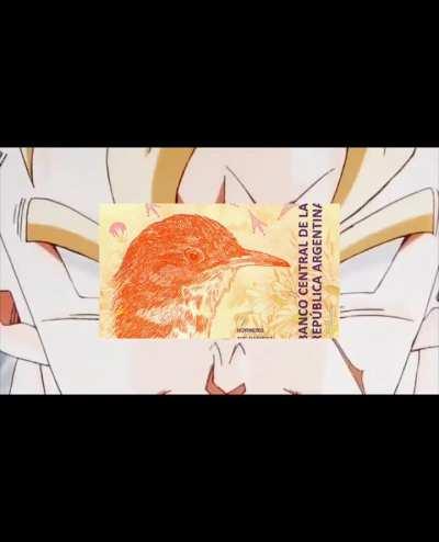 Un edit del Hornero, me esforcé haciendolo espero les guste 🫠