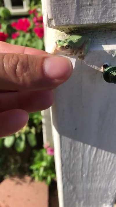 What a nice thing to do