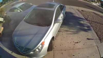 Drunk driver at 3 pm on a Monday in Arizona