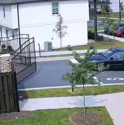 Idiot Couldn't Wait Two More Seconds...